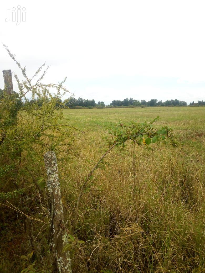 10 Acres of Land for Sale in Njoro Land & Plots for Sale, Martin