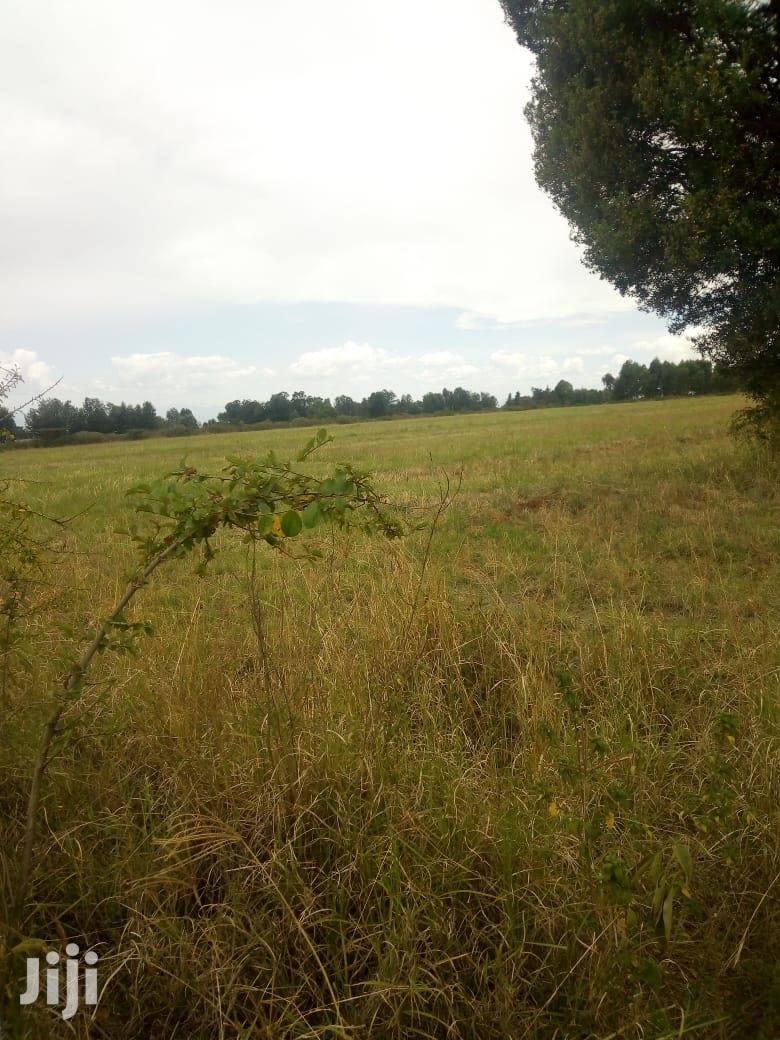 10 Acres of Land for Sale in Njoro Land & Plots for Sale, Martin