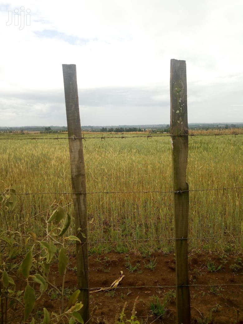 10 Acres of Land for Sale in Njoro Land & Plots for Sale, Martin