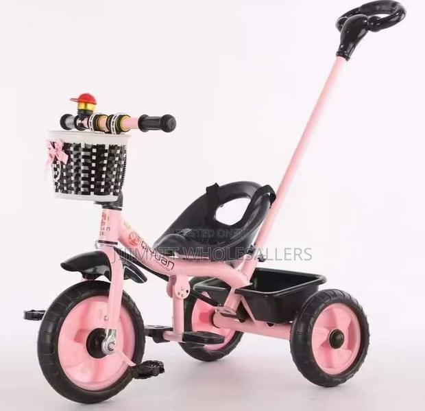 Tricycle Bike With Push Handle Available in Different Colour - main view