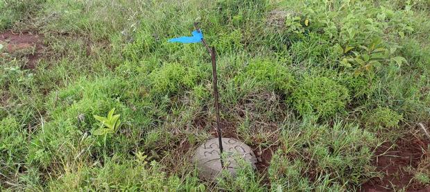 Land for Sale in Nachu - Kikuyu - thumbnail 5