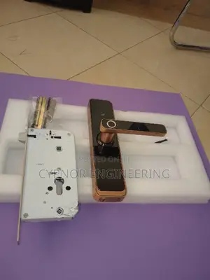 Next-Gen Airbnbs RFID Integration Biometric Wifi Door Locks