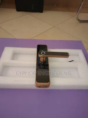 Advanced Airbnb Security:Tuya Wifi Locks
