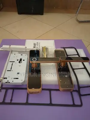 Biometric Wifi Locks:For Airbnbs Hosts