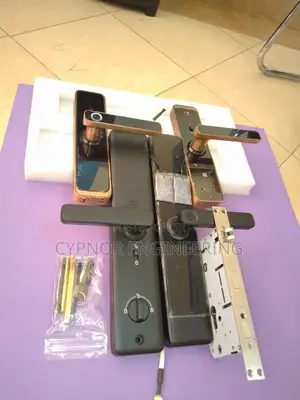 Stardard Biometric Locks for Airbnb Management