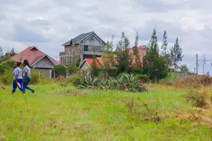 Syokimau-Katani Plots at 2.3M Ww^