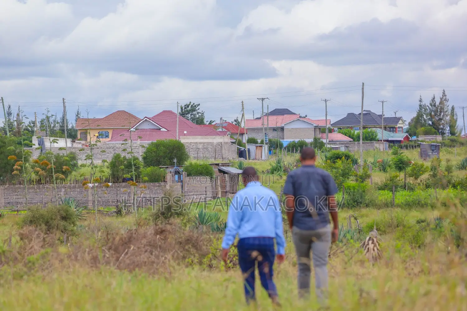 Syokimau-Katani Plots at 2.3M Ww^