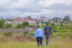 Syokimau-Katani Plots at 2.3M Ww^