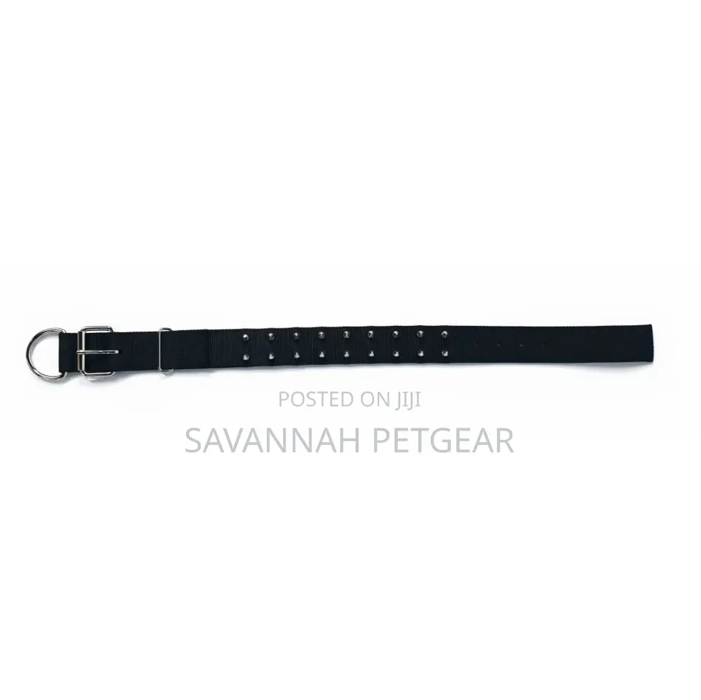 T-Rex Protective Spiked Dog Collar - Black (M,L,Xl)(
