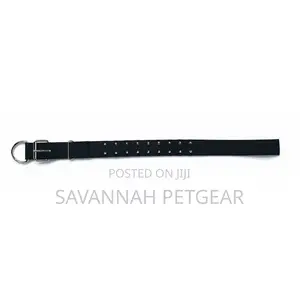 T-Rex Protective Spiked Dog Collar - Black (M,L,Xl)(