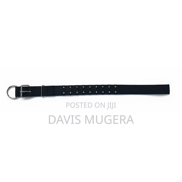 T-Rex Protective Spiked Dog Collar - Black (M,L,Xl)( - thumbnail 3