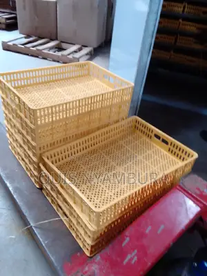 Eggs Hatcher Tray 88eggs