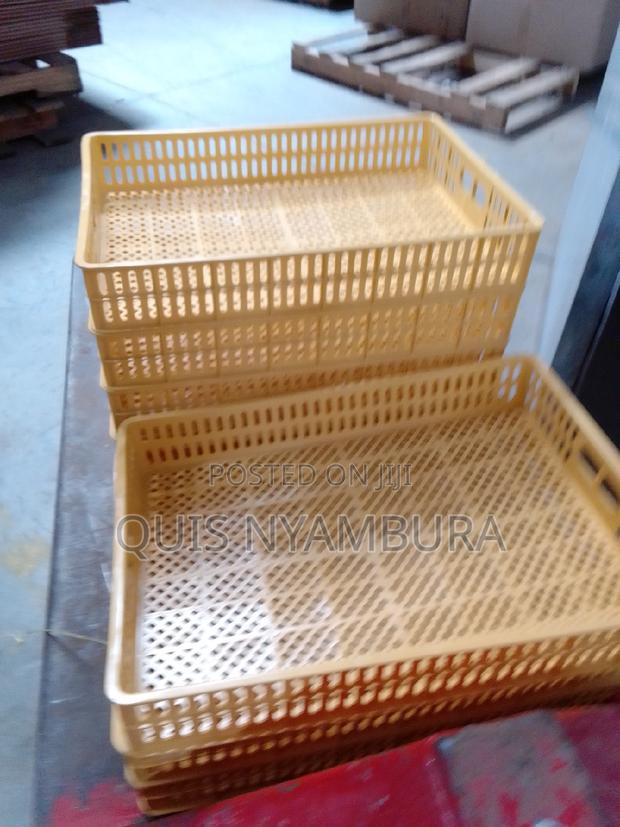 Eggs Hatcher Tray 88eggs. - main view