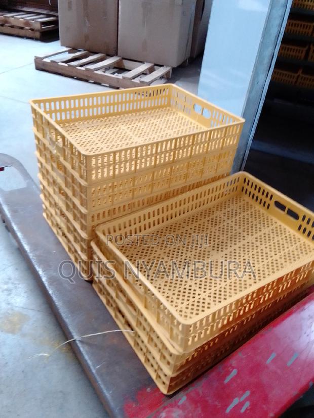 Chicken Eggs Hatcher Trays 88eggs - thumbnail 2