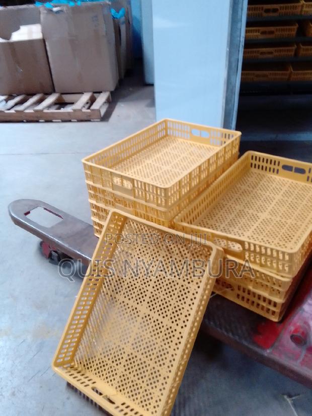 88trays Hatcher Trays