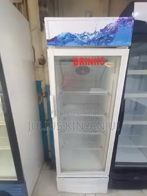 300L Display Fridge