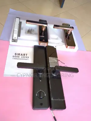 Premium Intelligent Wifi Biometric Locks