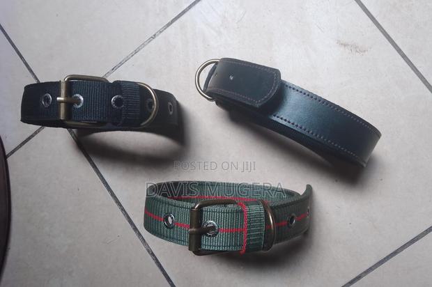 Leather Dog Collars Suitable for Medium and Large Dogs - main view