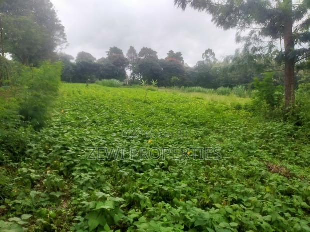 1/4 Acre Plot Matasia, Barabara Mpya - thumbnail 5