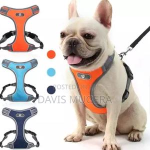 T-Vest Harness + Leash for Medium Dog Sizes Available. - thumbnail 2