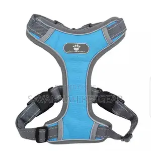 T-Vest Harness + Leash for Medium Dog Sizes Available.