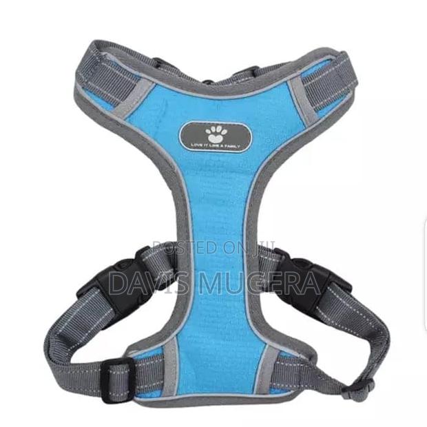 T-Vest Harness + Leash for Medium Dog Sizes Available. - thumbnail 3