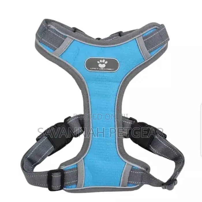 T-Vest Harness + Leash for Medium Dog Sizes Available.