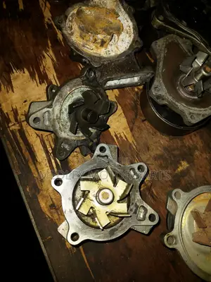 1NZ Water Pumps