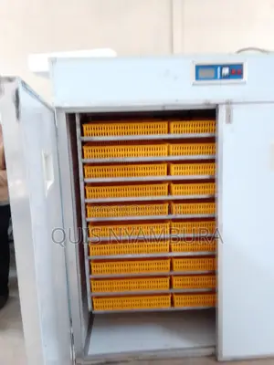 5280 Eggs Hatcher Incubator