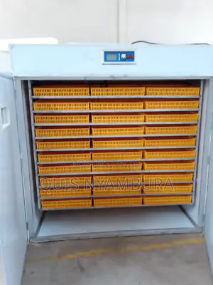 5280 Eggs Hatcher Incubator.