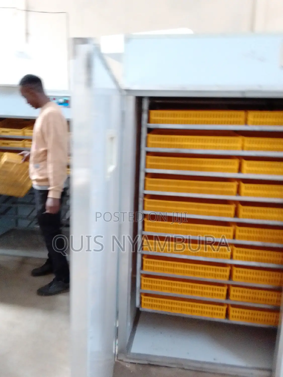 5280 Eggs Hatcher Incubator Automatic