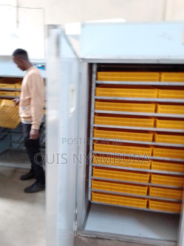 5280 Eggs Hatcher Incubator Automatic - thumbnail 3