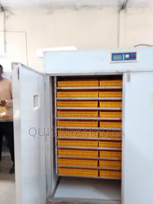 5280 Eggs Hatcher Incubator Automatic.