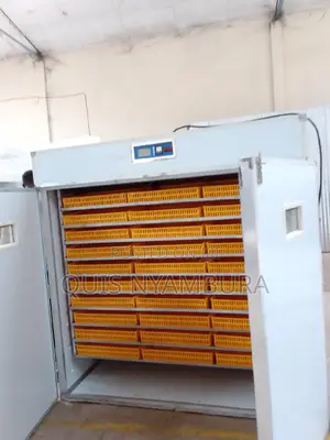 5280 Eggs Hatcher Incubator Automatic.