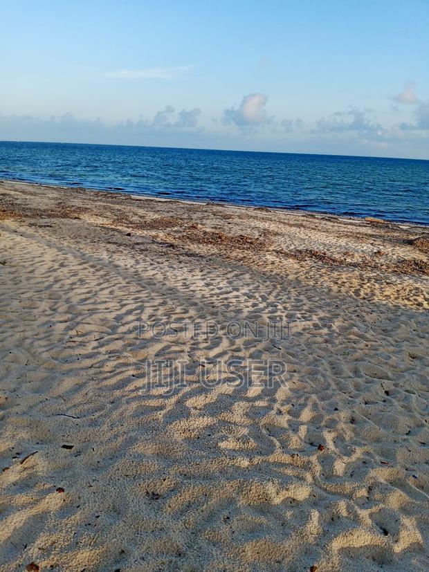 2nd Row Beach Plot Half Acre for Sale in Tiwi Beach - thumbnail 4