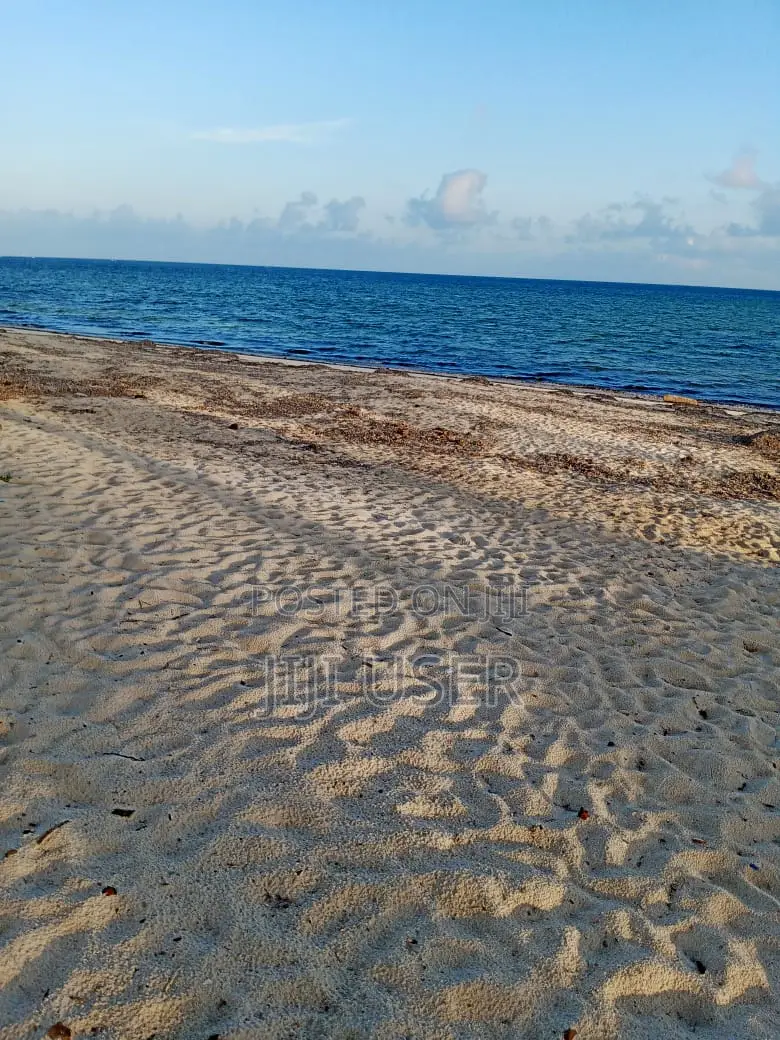 2nd Row Beach Plot Half Acre for Sale in Tiwi Beach