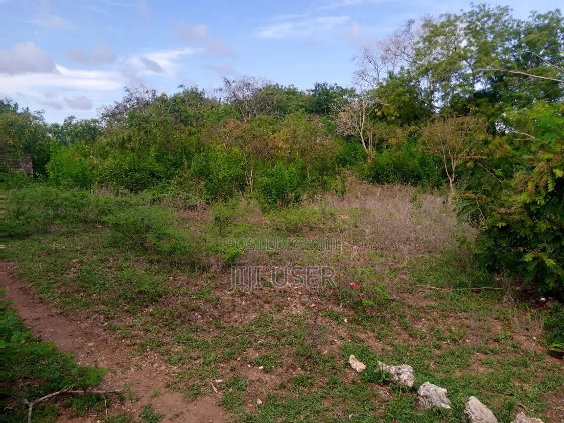 2nd Row Beach Plot Half Acre for Sale in Tiwi Beach