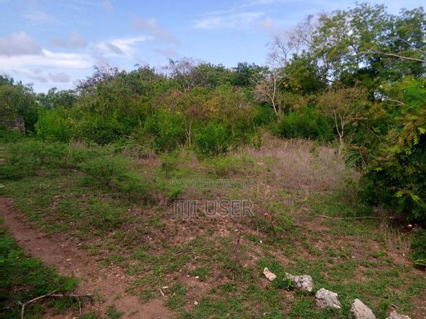 2nd Row Beach Plot Half Acre for Sale in Tiwi Beach - main view