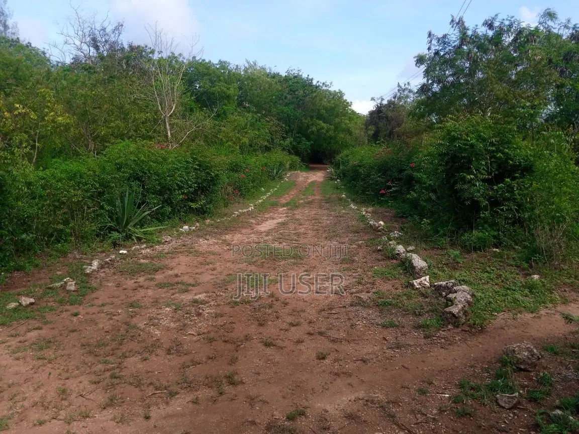2nd Row Beach Plot Half Acre for Sale in Tiwi Beach