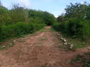 2nd Row Beach Plot Half Acre for Sale in Tiwi Beach