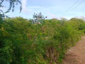 2nd Row Beach Plot Half Acre for Sale in Tiwi Beach