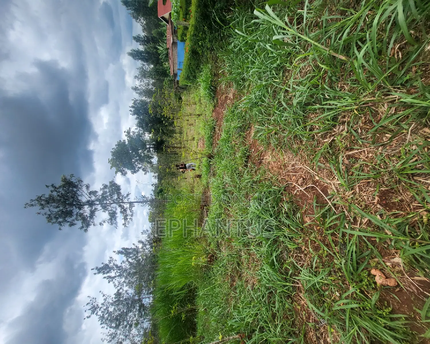 50 by 100 Plot in Kenyatta Road