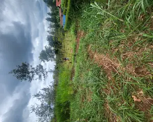 50 by 100 Plot in Kenyatta Road