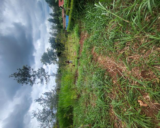 50 by 100 Plot in Kenyatta Road - thumbnail 2