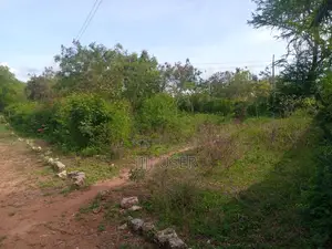 2nd Row Beach Plot Half Acre for Sale in Tiwi Beach