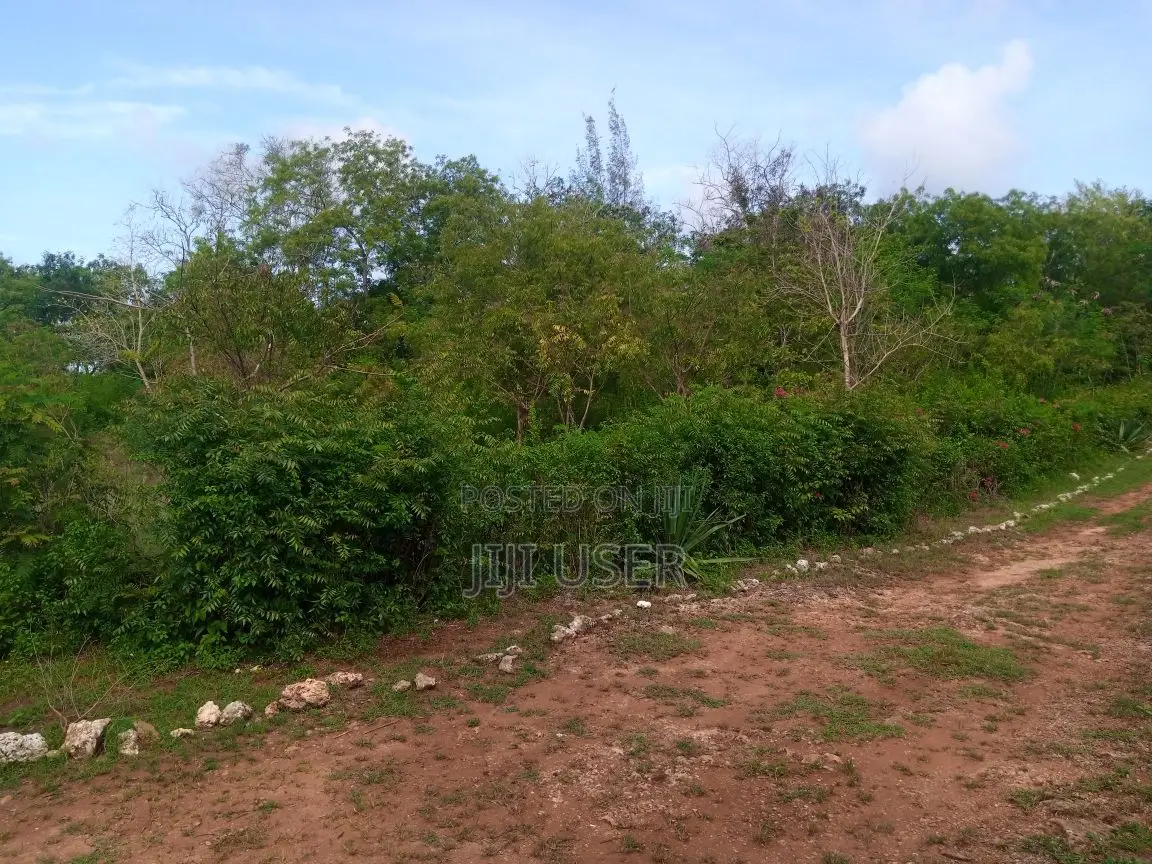 2nd Row Beach Plot Half Acre for Sale in Tiwi Beach