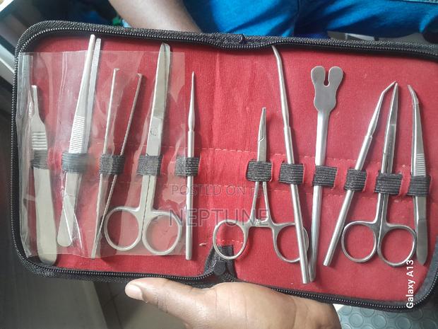 Dissecting Set Students