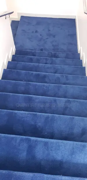 Blue Carpet