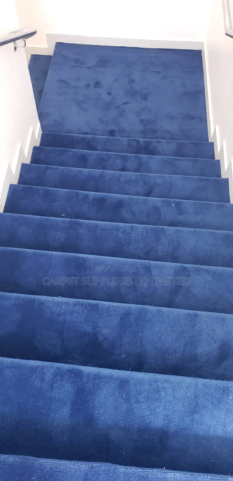 Blue Carpet
