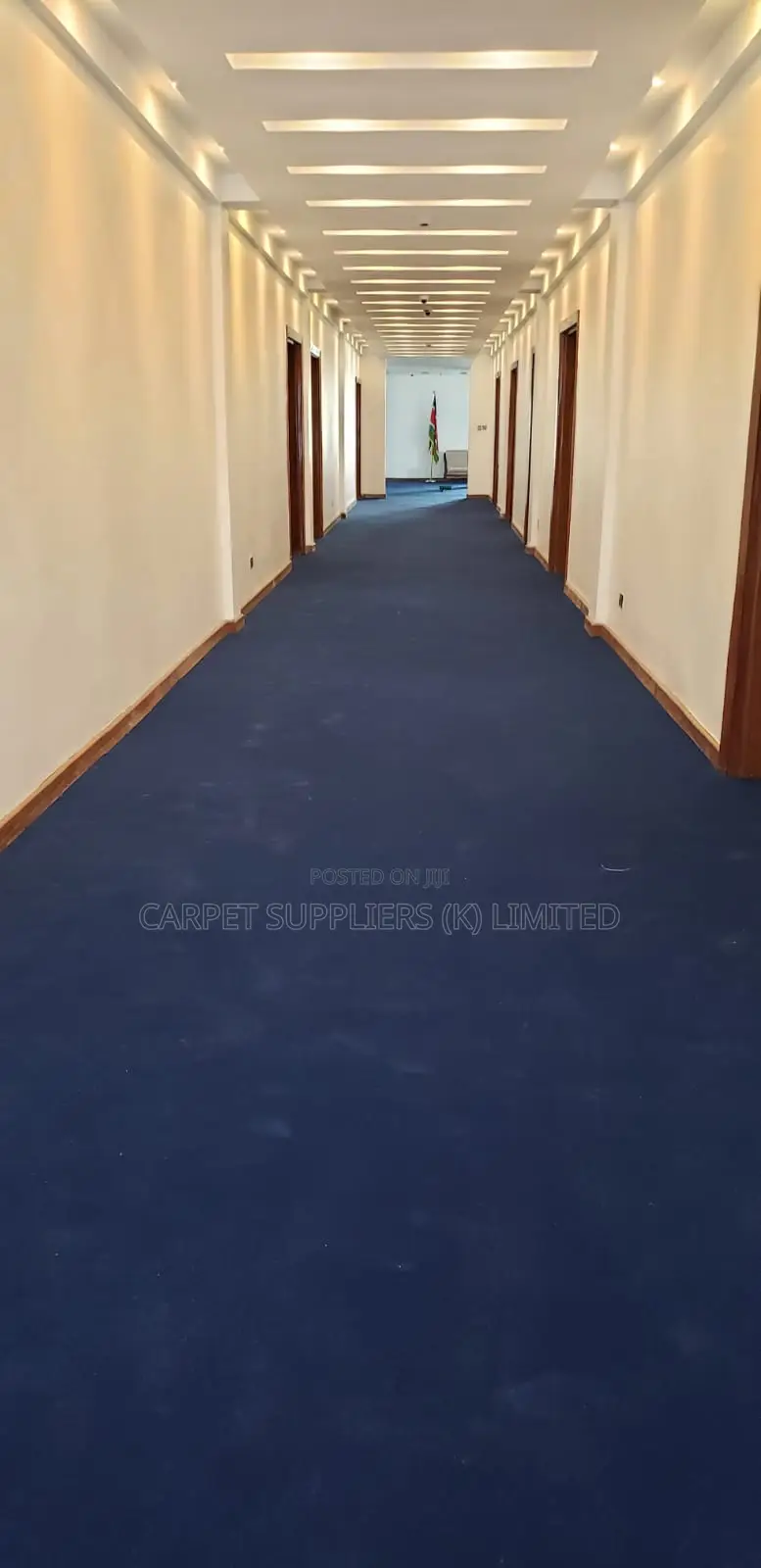 Wall to Wall Carpet